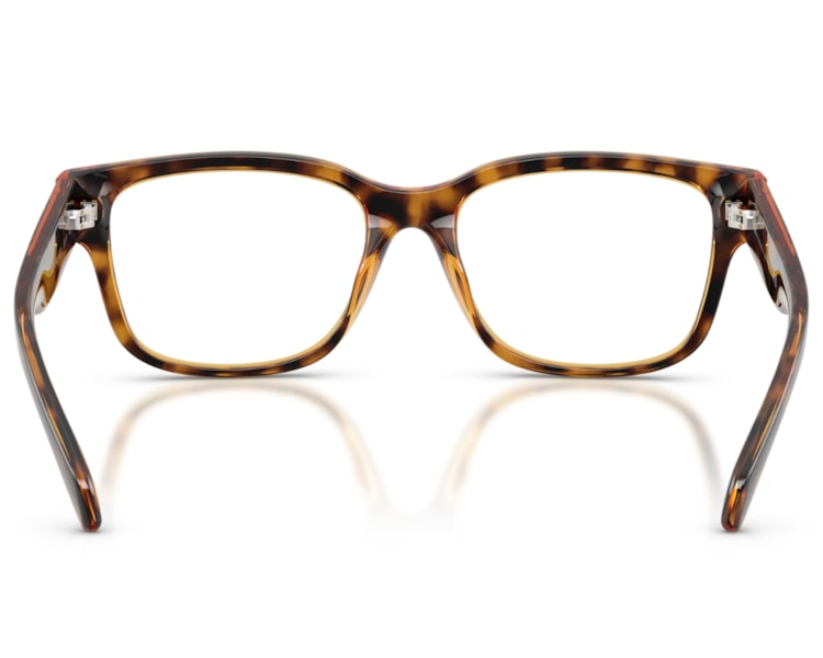 image_24d08f67-a8a8-4f9a-b282-4ab926017bf3