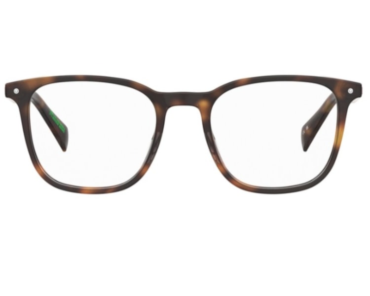 image_7fc796e8-43bc-499d-8bd1-e506d5ecf9c6