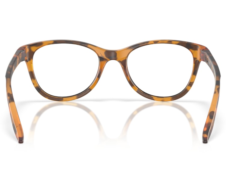 image_a9d1e058-a774-4b16-8ddf-f21454ecff04