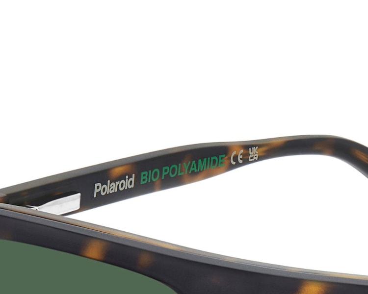 image_3cfe07a7-a71d-4168-87ca-8cc7eb345d3f