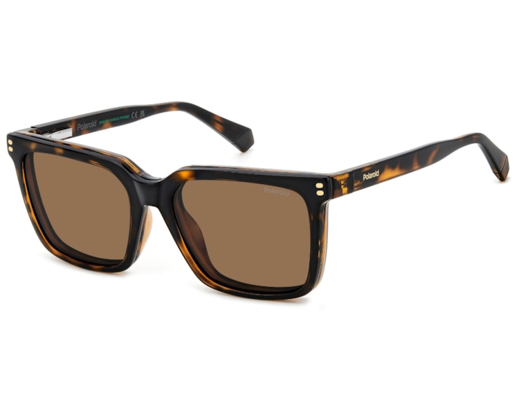 image_a9e8c5a9-a42d-48a9-86db-8929e1dc90c7