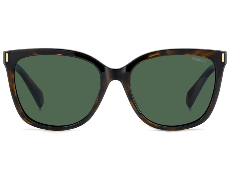 image_631b45a6-e1da-44f0-b858-2891c52dbabf