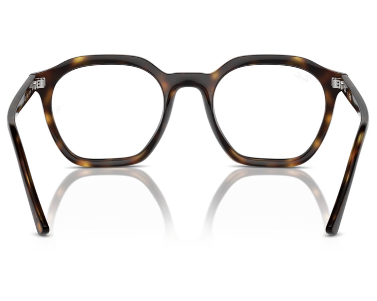 image_e809a9d4-54f6-4045-90e7-2388c5546a9e