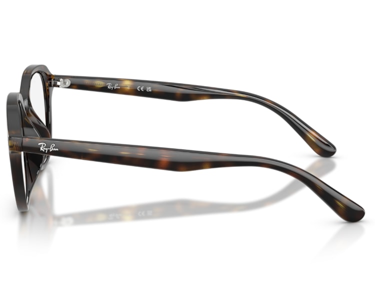 image_51f76bea-d805-4a3f-8e2f-81b2bcd7d6c3