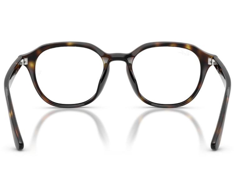 image_950d70bd-3a3d-4071-856a-1159dce3182a