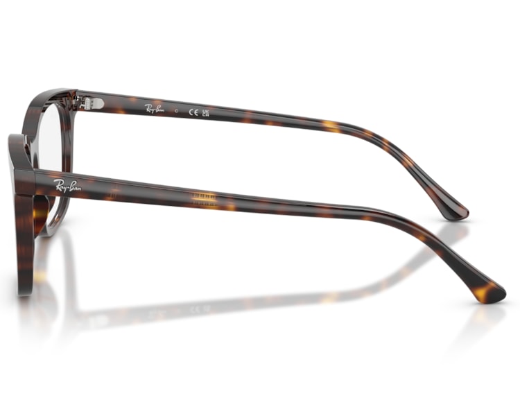 image_575e97a4-c0bf-4174-80dc-7b456ad205c8