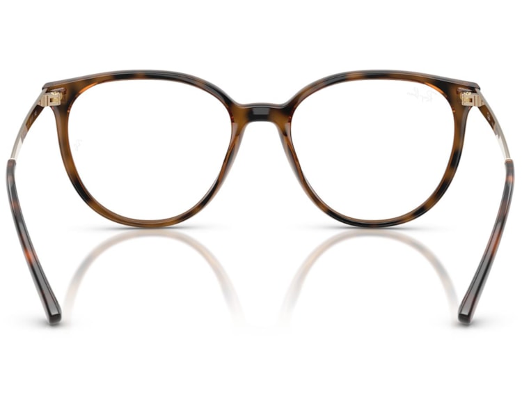 image_756412c9-a60f-41ab-8af1-c446f77608c4