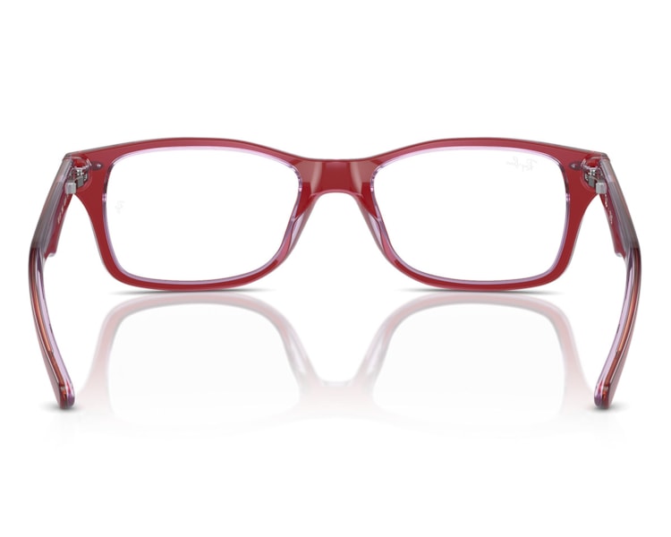 image_b44b0235-5448-4374-8bb0-cb7e8c80a9f9