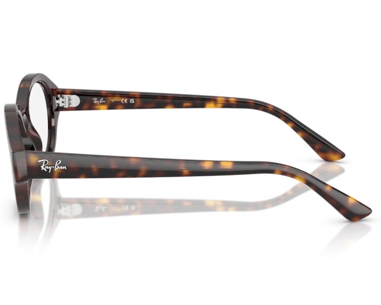 image_33e94b87-d19a-4327-82c1-a04807a2f27e