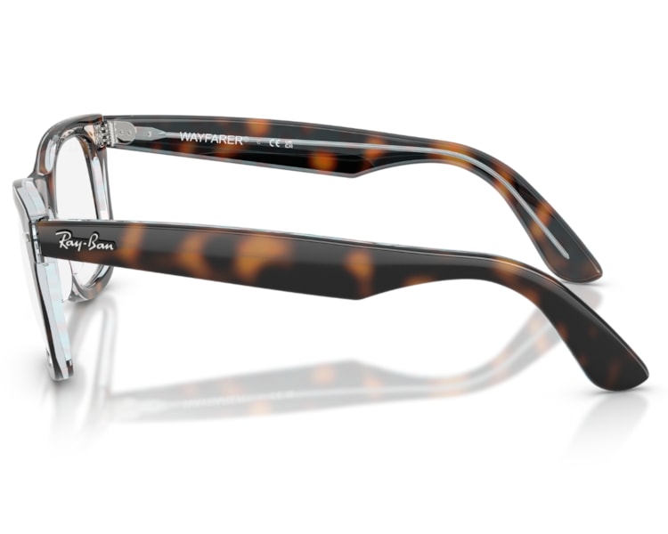 image_76d4f79d-59a0-403b-9d07-ebfdaec49f07