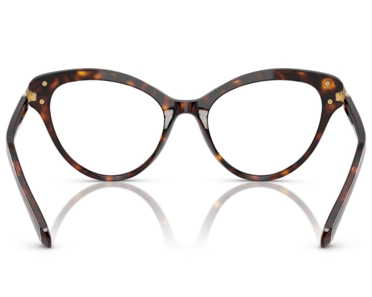 image_58337751-bca9-4dd9-a3f7-73e71e7ca2d5