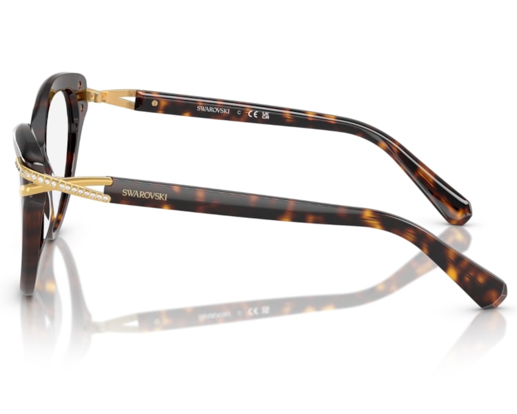 image_88a22d6f-643a-4f9e-94fa-def1966df86e