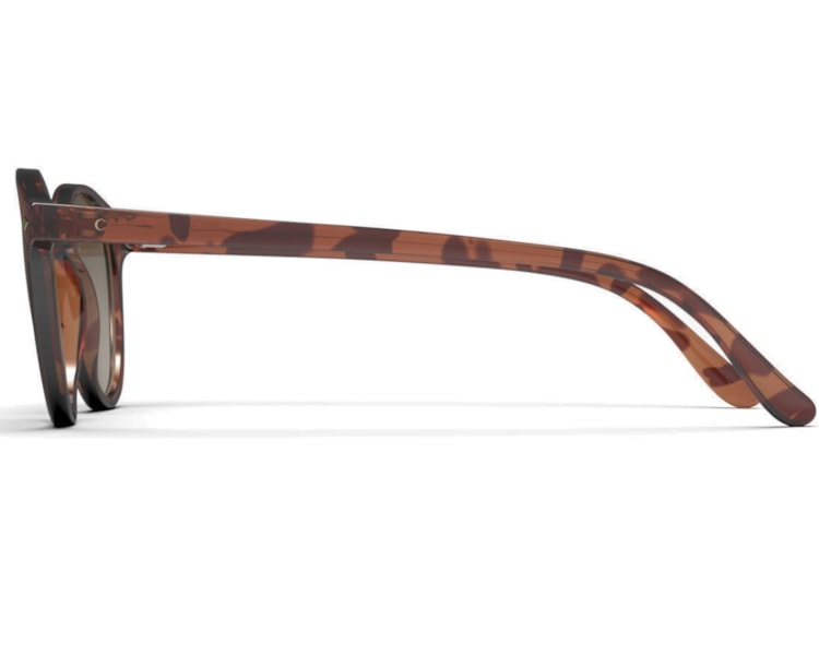 image_c52ba193-daa7-40e2-acf8-70f8080df097