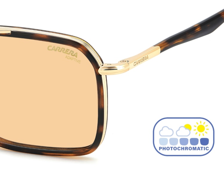 image_59882ac2-f824-4310-b375-78c88507f5e4