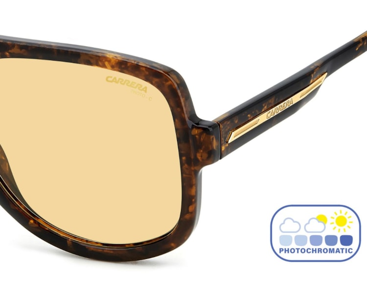 image_e479696f-7cc0-4efb-b585-3b23ceee1467