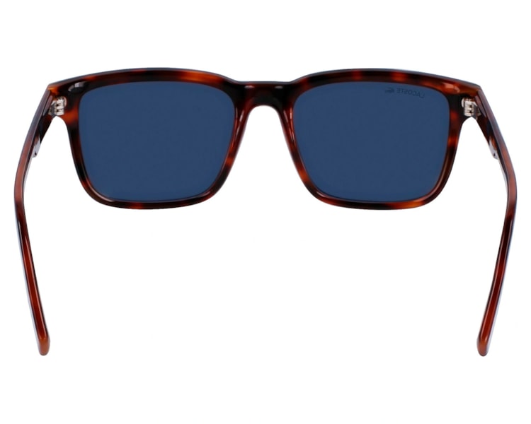 image_e70c433d-d9de-4cf8-b00d-87a91c41c8d2