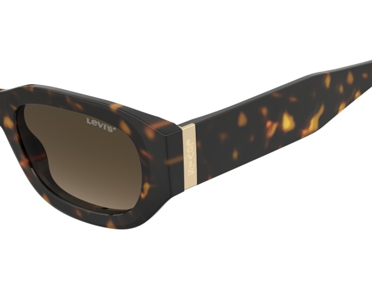 image_115f03be-294b-4da8-b259-1880bb499526