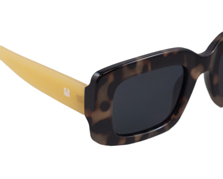 image_295386b6-4cf8-4a59-9560-694f42d940d4