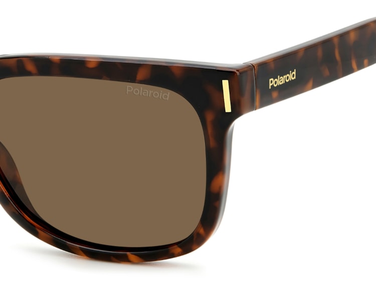 image_a1c935f2-90be-447e-a769-9796a65b71f6