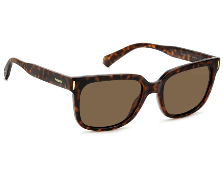 image_d0d52b81-390b-4255-bcae-b419ee50bb46