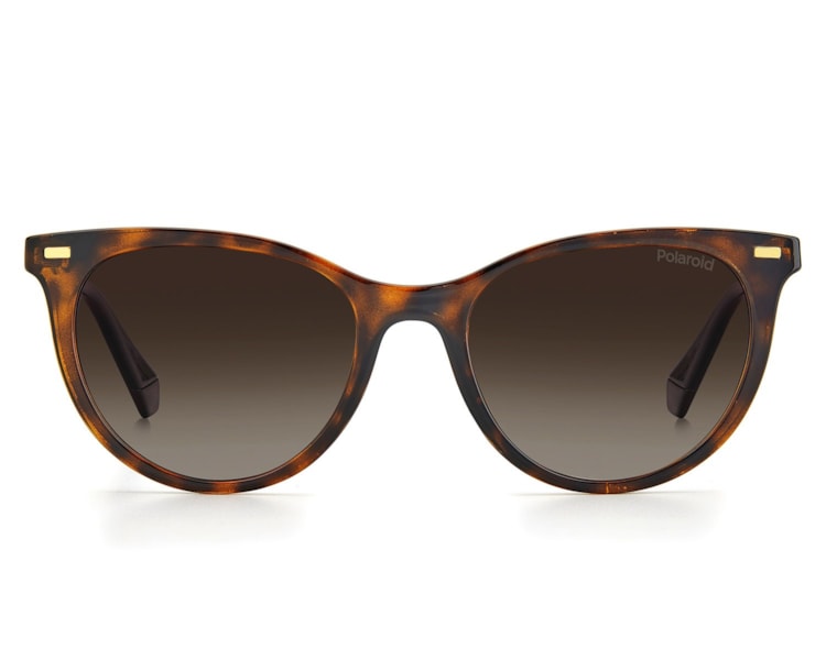 image_c7513bc9-ae5e-4478-a846-6669a587050d