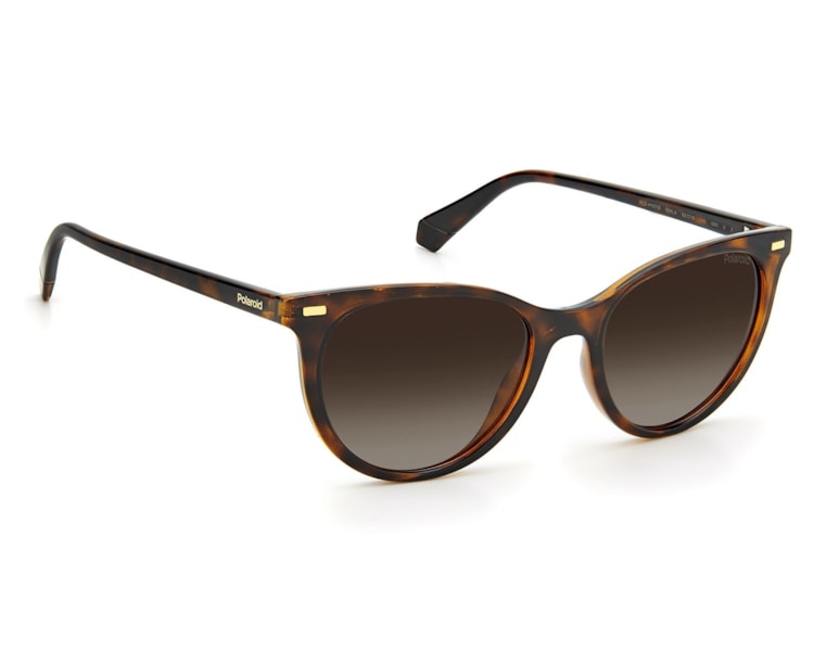 image_59d7f1be-a4af-4294-b6f8-6a268b4432b6