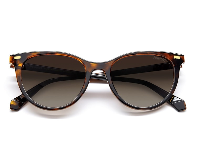 image_f970c554-0267-4030-a38b-ed1ab18a7690