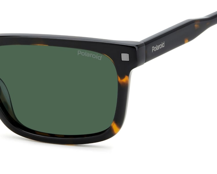 image_b911501f-fba7-46ff-9fe6-fc7ba4cd3405