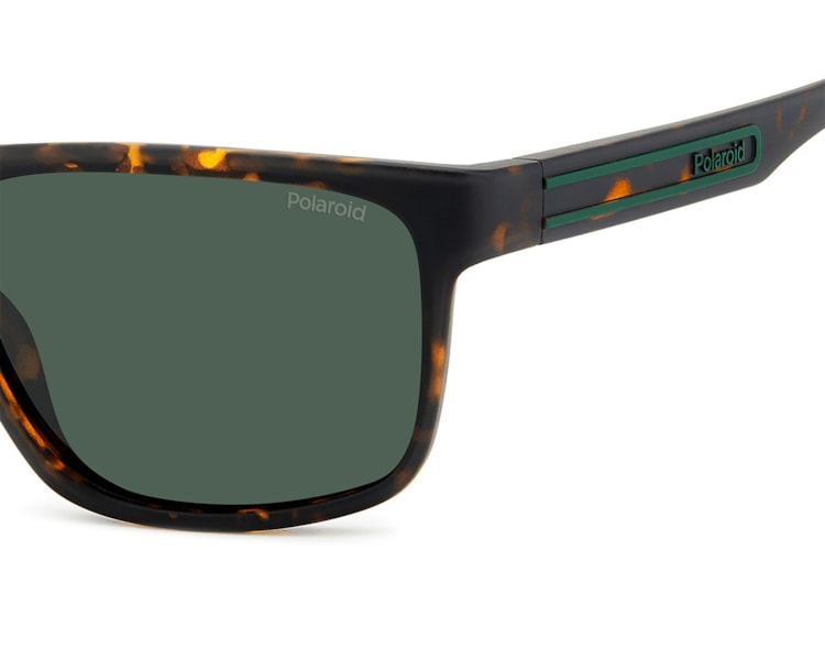 image_d8518634-c043-42ff-9294-e148315506b8