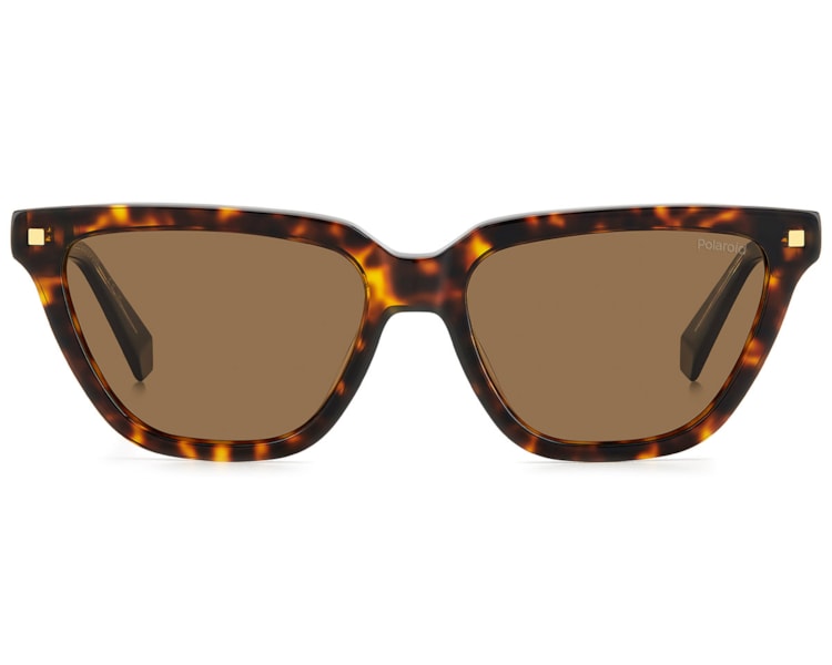 image_6b91262a-4dfa-4c3b-96f4-b5f5d0342f42