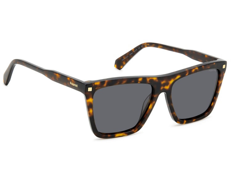 image_c45637ed-0ad6-4ee2-97ff-29deedbd9517