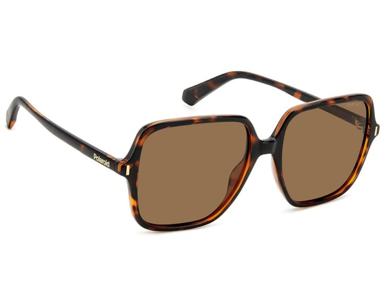 image_4881f10a-2eb1-4fb4-8380-36925f4ac08e