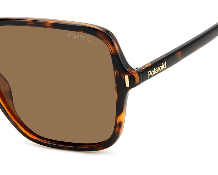 image_e95a13e8-b3d7-4797-a331-8a3fe4fdccd4