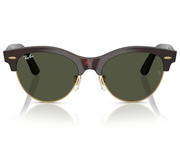 image_e56ed559-2d9a-4095-ac83-ecc48788ee9d