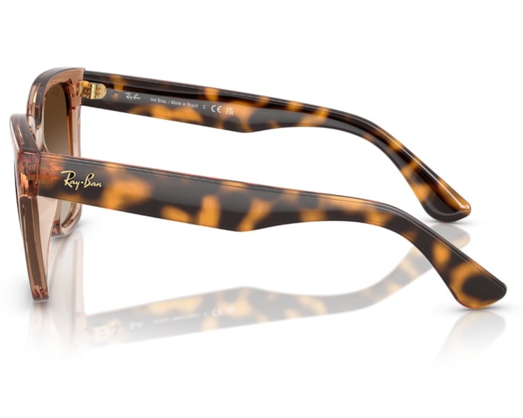 image_2cd691ae-1b29-44db-b62c-03d83b1aae3d