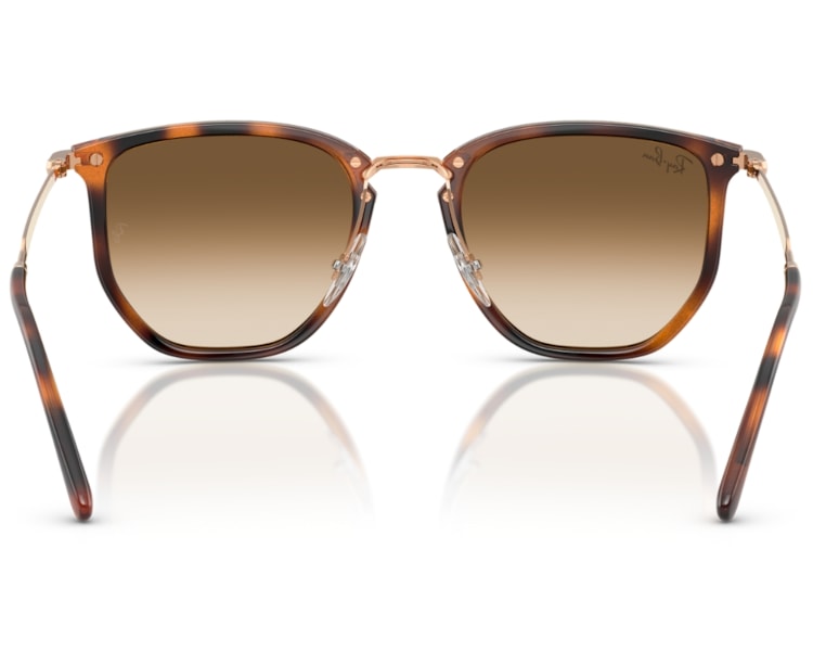 image_e5998d19-2293-4ca6-b8ff-511cea075399