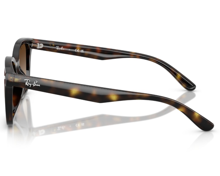 image_94445520-7721-46bd-8e80-c7d5e88b411b