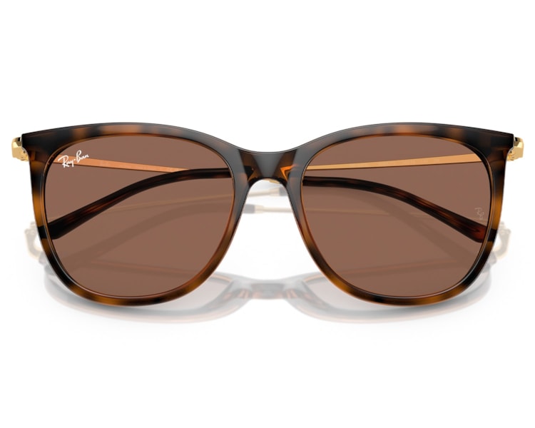 image_f75f3942-560b-4773-a0e4-1558433e5c2a