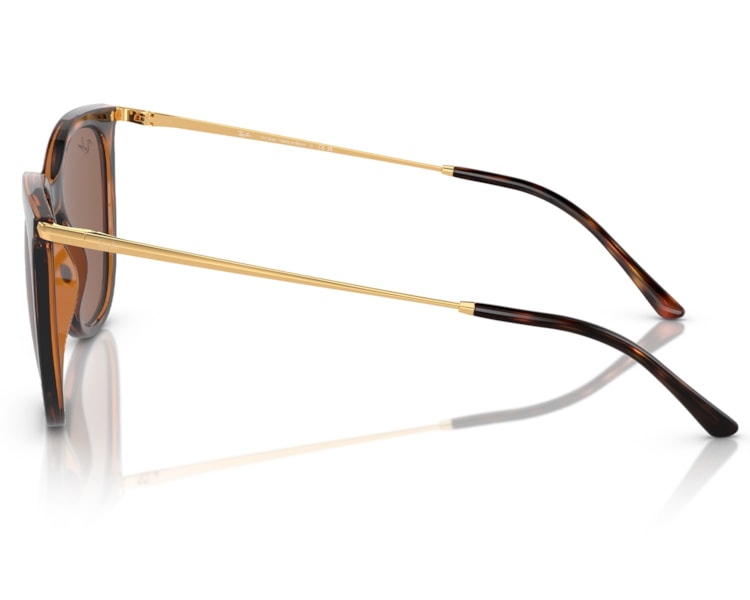 image_990cc245-687d-4a69-a871-f2d7d4ecc1d0