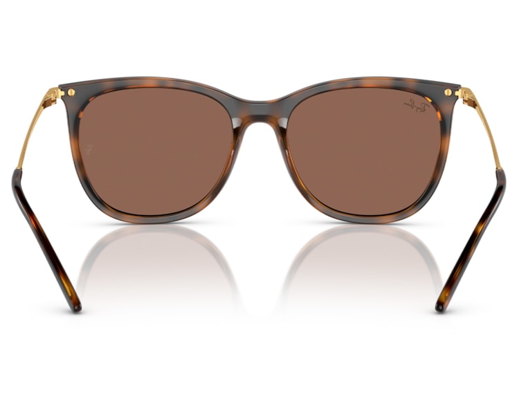 image_3523a572-51b7-47a3-bcbb-c1a9626e1a29