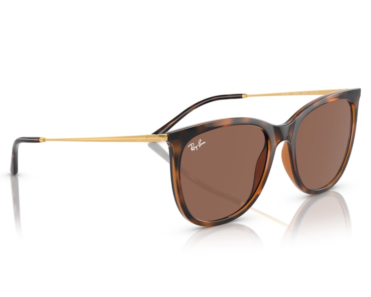 image_ed10d349-b4d3-4ba3-b9b0-765c35ea1047