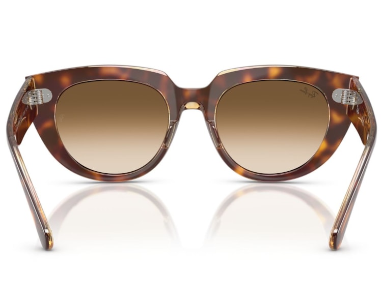 image_60c4df34-1299-4ea6-a728-3c8aefd7f26b