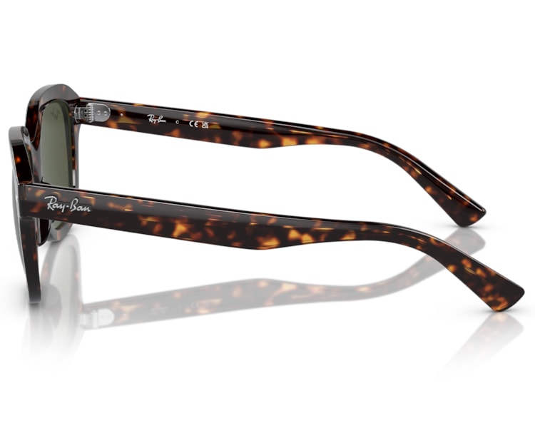 image_1a68a8ce-0fbc-4ca8-a54a-7d8ab5cf0bfc