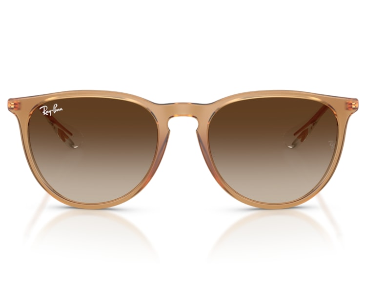 image_ccaaac6f-91a5-43c5-b505-aeb33d717343