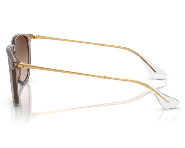 image_bc251f7a-3f47-45af-a515-45173e438335