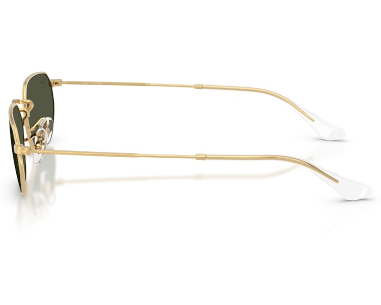 image_092e3916-7b79-4a53-9927-9197656f4058