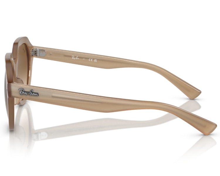 image_4a508503-ed0c-4b54-901f-dbfb46496339