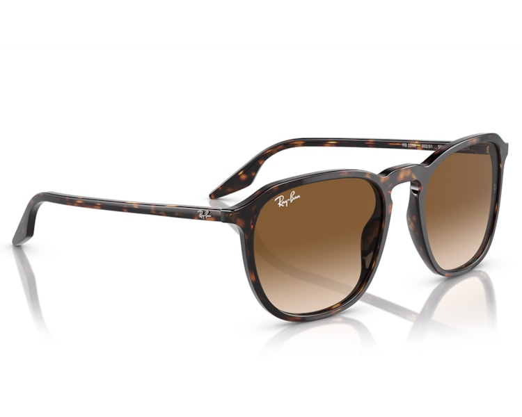 image_c8fa4482-176c-4f59-8a58-f43269cacbce