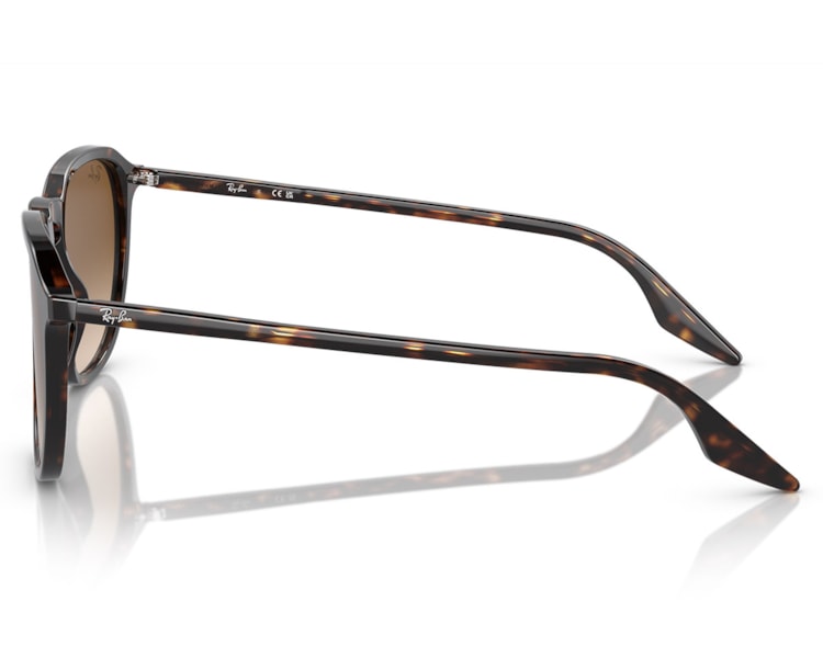 image_a831e875-770a-4d80-bf04-e39b9a380090