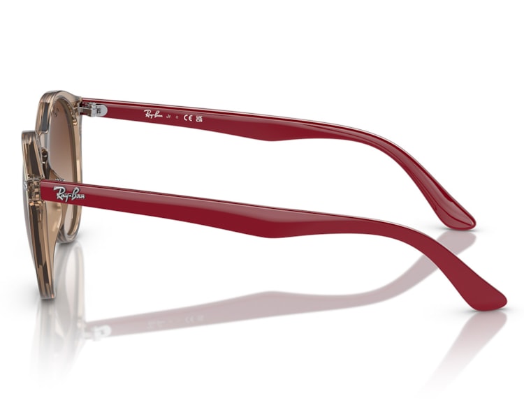 image_4ee2dc53-d4d2-48bf-b4db-3910d942ba26